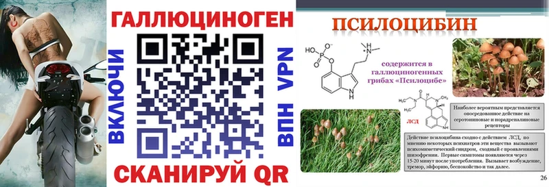 где купить   Верхняя Тура  Псилоцибиновые грибы Cubensis 